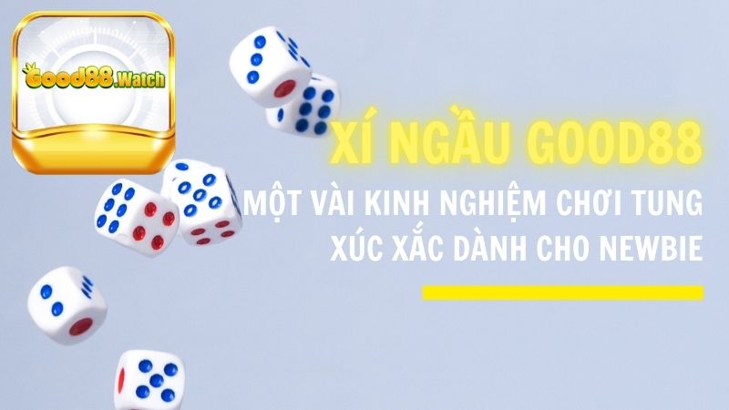 Một vài kinh nghiệm chơi tung xúc xắc dành cho newbie